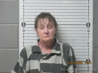 Mugshot of Brenda Lucille Williams