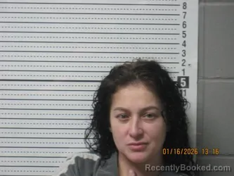 Mugshot of Vanessa Elaine Burnett
