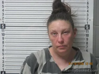 Mugshot of Brandy Leann Barnett
