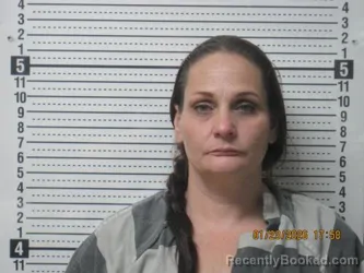 Mugshot of Misty Dawn Shamblin