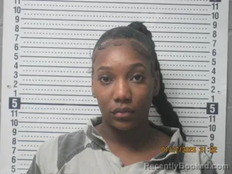 Mugshot of Kiara Cherise Hollumn