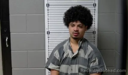 Mugshot of Luis Alberto Jr. Portillo