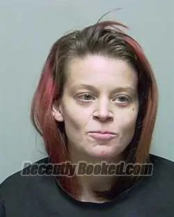 Booking photo from Putnam County, Florida