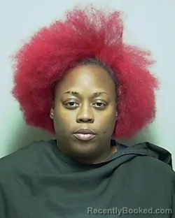 Mugshot of ERICKA SHAVONT WILSON