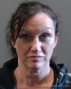 Mugshot of DAWN SHERRI BORDEN