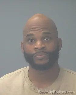 Mugshot of DEWAYNE EDWINS BRIDGES