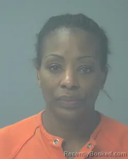 Mugshot of TIFFANY NICOLE MCPHAIL