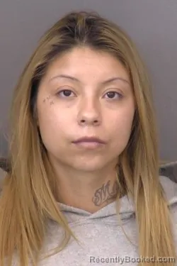 Mugshot of Ana Agaly Cerna
