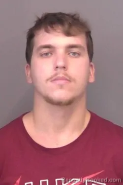 Mugshot of Andrew Arthur Palmer