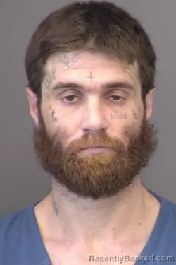 Mugshot of Dimitrios William Laskou