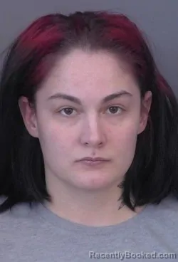 Mugshot of Nichole Ann Hudson