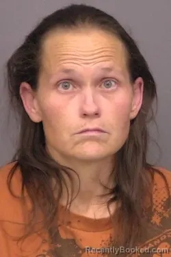 Mugshot of Jessica Ann Michellich