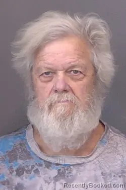 Mugshot of Dana Lee Lively