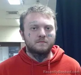 Mugshot of DYLAN JOSEPH LANDWEHR