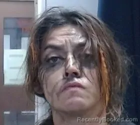 Mugshot of VANESSA RANE SANCHEZ