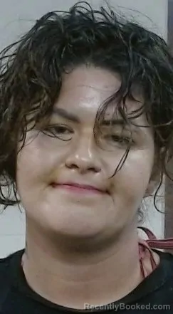 Mugshot of CRYSTAL ELIZABETH FINK