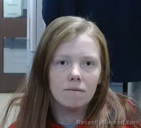 Mugshot of KORI ANN SCOTT