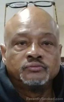 Mugshot of TERRIL LEWIS COOKS