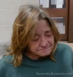 Mugshot of PAMELA LUANN HUTCHINSON