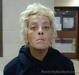 Mugshot of LESLIE MICHELLE CHANNER