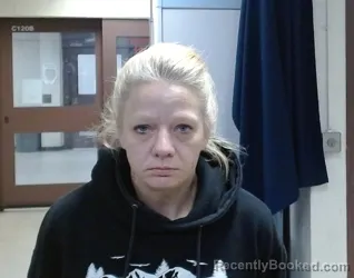 Mugshot of JODI MICHELLE MISAK
