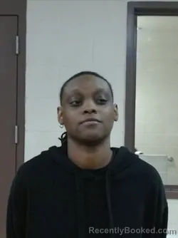 Mugshot of ELEXUS CHAUNTRALLE WILLIAMS