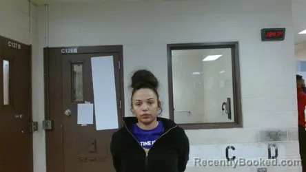 Mugshot of LARISSA EBONY JOHNSON