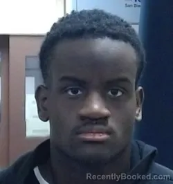 Mugshot of DAVIAN J'ROME SMART