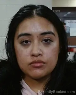 Mugshot of CHLOE R ALCANTARA