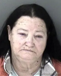 Mugshot of Robyn Ann Arb