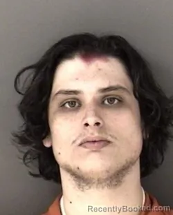 Mugshot of Alex Lee Carpino