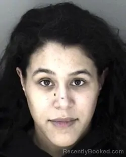 Booking photo from Shawnee County, Kansas