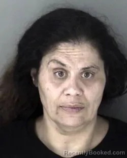 Mugshot of Pamela Denise Kirtdoll