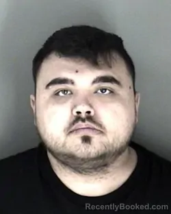 Mugshot of Nathaniel Lee Magers