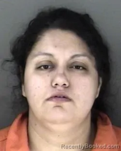 Mugshot of Diana Elizabeth Cabral-Flores