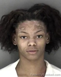 Mugshot of Ne'Vaeh Anjalique Louis Shepard