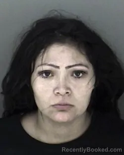 Mugshot of Angel Marie Wahquahboshkuk