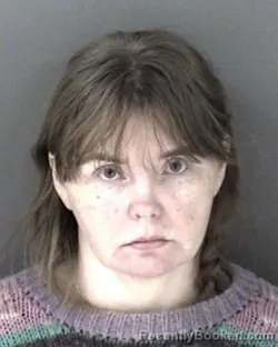 Mugshot of Diamond Amanda Stacey Tipton