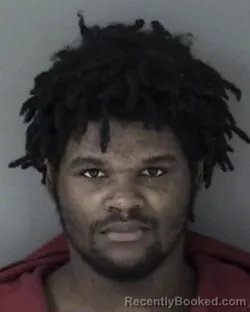 Mugshot of Romelo Jaquice Birch