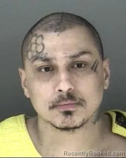 Mugshot of Eliezer Nmn Panecatl-Marchand