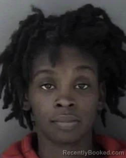 Mugshot of Garenika Mikeisha Smith