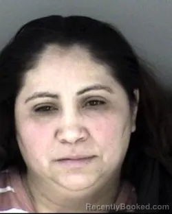 Mugshot of Maria Negrete-Flores