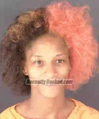 Booking photo from Sarasota County, Florida