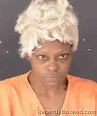Mugshot of TIFFANY RAQUEL BRADLEY