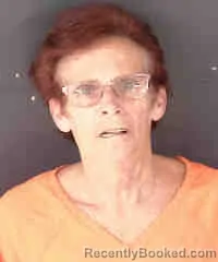 Mugshot of TRACY LYNN LANE