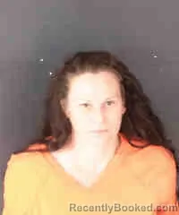 Mugshot of AMANDA MARIE BOURGELAS
