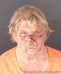 Mugshot of DAVID WAYNE HIGGINS