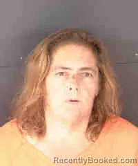 Mugshot of LISA MARIE GIBSON