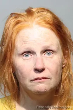 Mugshot of TAMMY CONNORS