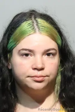 Mugshot of TAMARA TORRES BONET